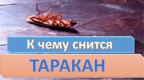 Черные тараканы во сне в соннике растолковывается как