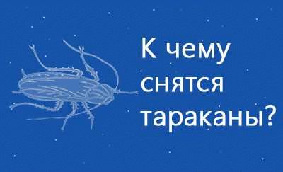 Толкование сновидения о тараканах в Соннике