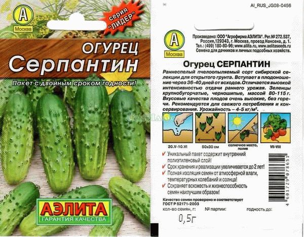 Преимущества сорта огурца Серпантин