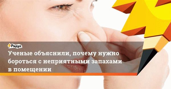 Устранение неприятных запахов в доме