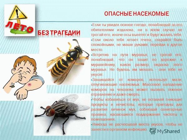 Насколько агрессивны стрекозы?