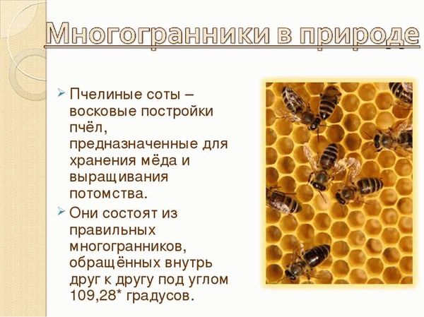 Почему мед нельзя найти в продаже?