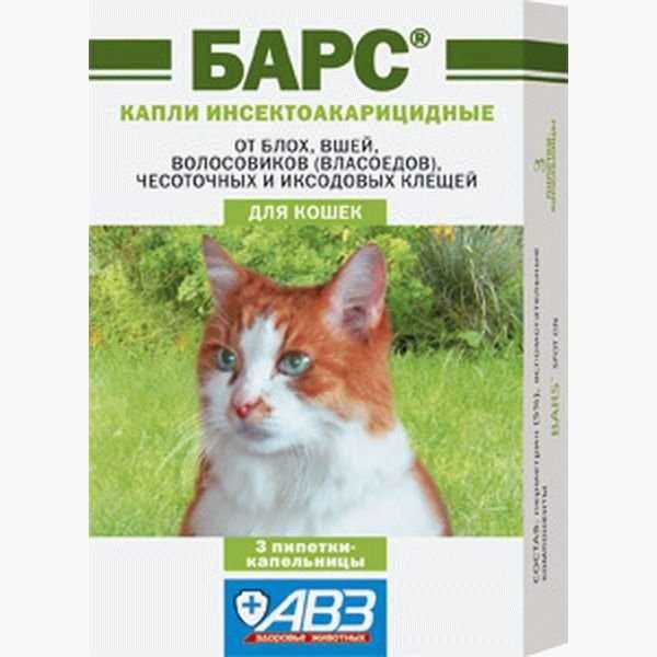 Выбираем средство против блох для кошек