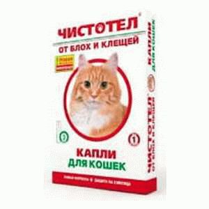 Популярный «Комфортис» для котов и не только