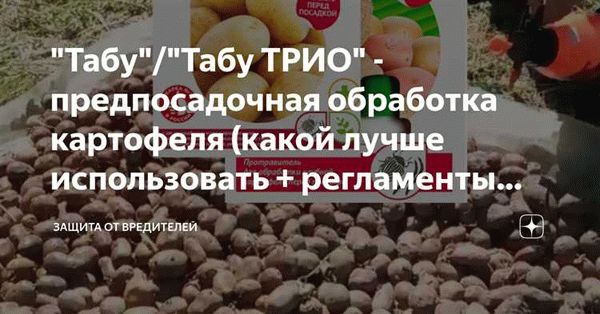 Болезни картофеля и их решение