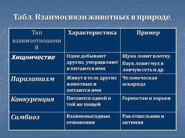 Взаимодействие в природе: конкуренция и кооперация