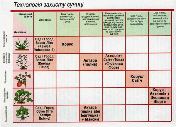 Виды тли и вред для растений