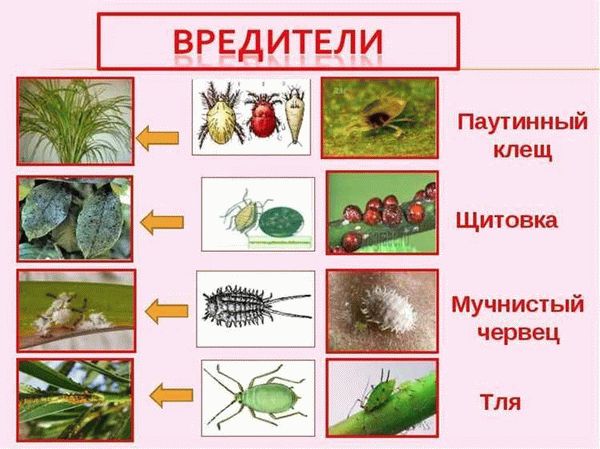 Самые эффективные средства промышленного производства