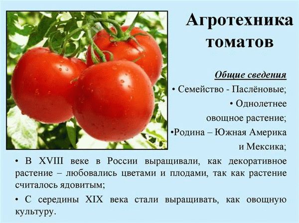 Описание места посадки