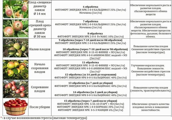 Основные качества плодов