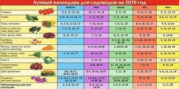 Секреты выращивания: характеристика и описание сорта