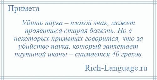 Как гадать на пауках?