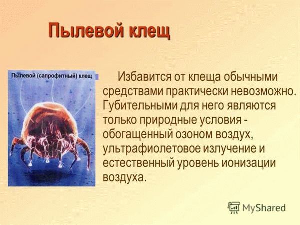 Как распознать укусы постельных клещей