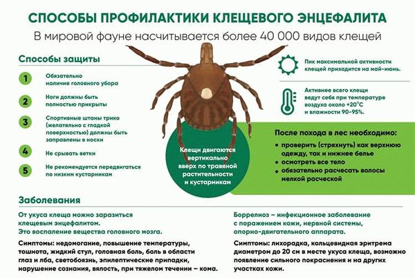 Симптомы аллергии на пылевых клещей