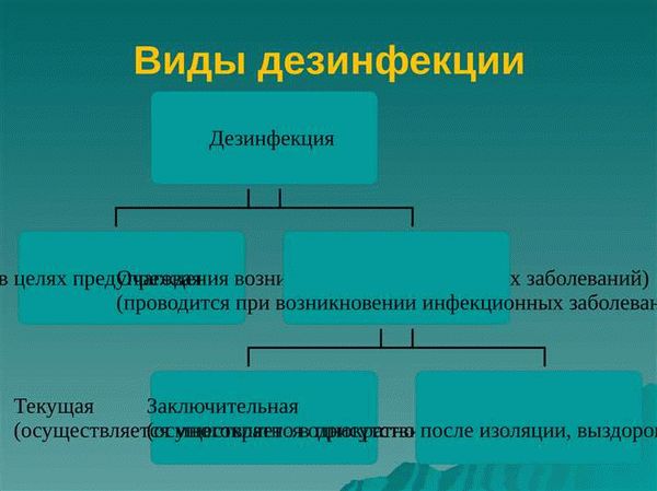 Паровая дезинфекция: эффективное средство против вирусов