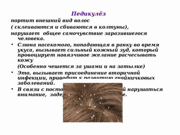 Вши-сосущие насекомые