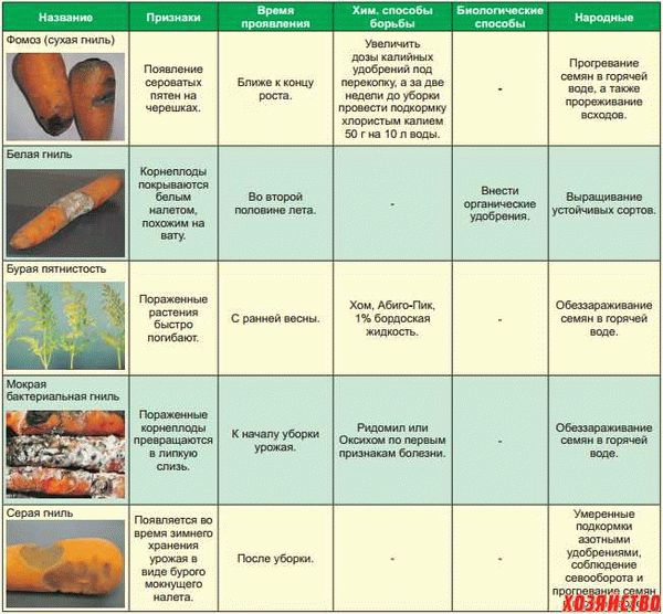 Вредители моркови с фото и названиями: как избавиться, профилактика