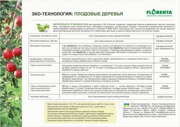 Яблонная плодожорка: как защитить сад от опасного вредителя?