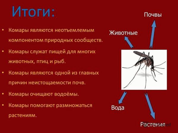 Польза комаров для человека и естественной среды