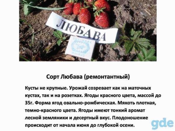 О пользе заначек